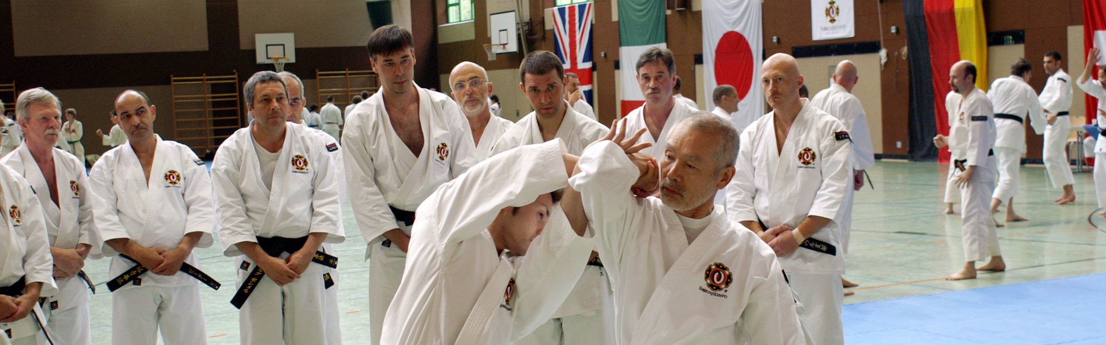 Shorinji Kempo Sato sensei showing technique